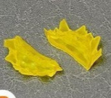 GSC Preorder Campaign #8 Bonus -  Effect Parts Set A-D options