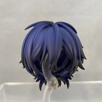 2473 -Haruomi Shingu's Hair