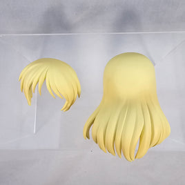 2553 -Deedlit's Hair