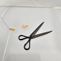 1822 -Princess Syalis's Scissors