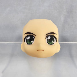 1720-1 -Hikaru Shindo's Standard Face