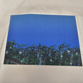 2325 -Shiori Fujisaki's Starry Night Backdrop #2