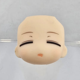 2616-3 - Atri Sleepy Faceplate