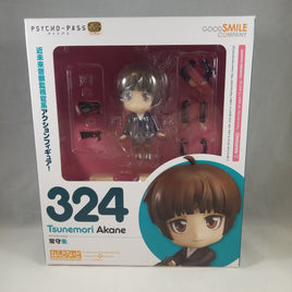 324 -Tsunemori Akane Complete in Box