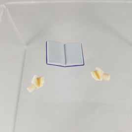 981-DX -Rin's Open Book