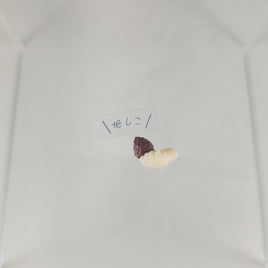 981-DX -Rin's Hand with Pinecone