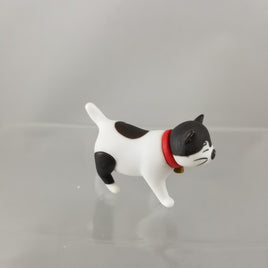 281 -Wakana's Cat, Dora