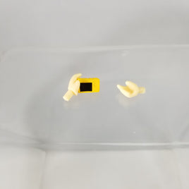 742 -Leonardo's Camera