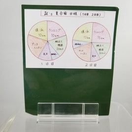 546 -Umi's Pie Chart Backdrop