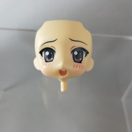 101-1 -Mio Live Stage Vers. Standard Face