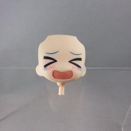 167-3 - Cirno's Chibi Crying Faceplate