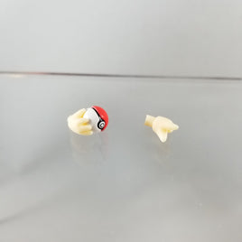 507 -Cynthia/Shirona's Pokeball with Hands