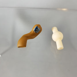 775 -Erwin's Empty Sleeve