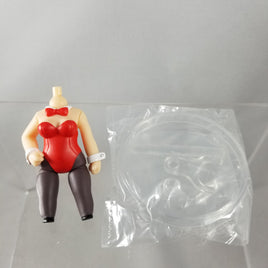 14 -Asahina's Bunny Girl Outfit with Stand