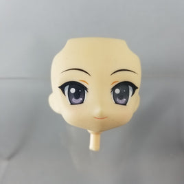 82-1 - Mio's Standard Faceplate