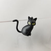605 -Kenma's Black Cat