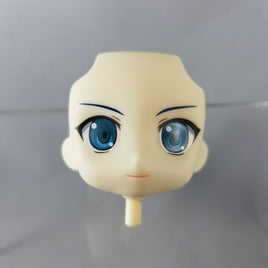 290-1 -Aichi's Smiling Faceplate