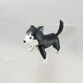 906 -Riza Hawkeye's Husky, Black Hayate