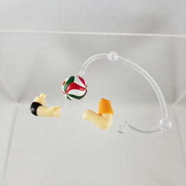 592 -Nishinoya's Volleyball and arms w/ support