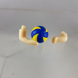 806 -Lev's Volleyball with Arms (no support piece)