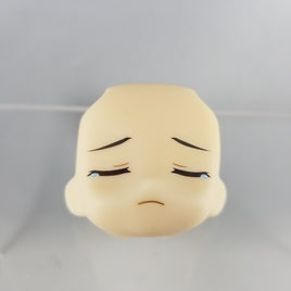 1113-3 -Shield Hero's Crying Face