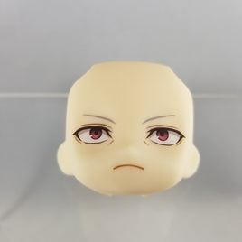 1169-1 -Accelerator's Standard Face