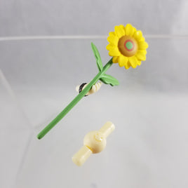 1215 -Qiluo Zhou's Sunflower