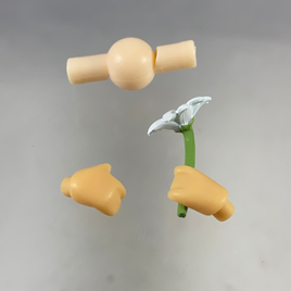 1174 -Jasmine's Flower