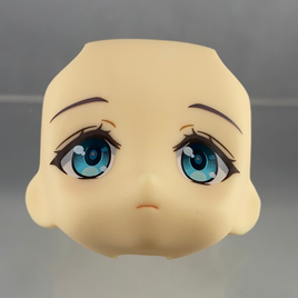 1145-1 or 1745-DX -Amiya's Standard Face