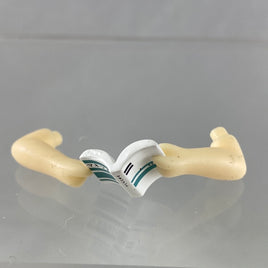 163 -Minami's Management Book with Arms