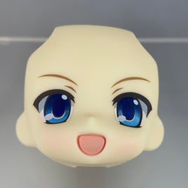 334-1 -Ricca's Standard Face