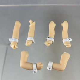 14 *-Haruhi, Yuki, & Asahina's Bunny Girl Arms