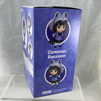 911 -Common Raccoon Complete in Box