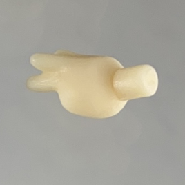 1304 -Iwanaga's Special Left Hand