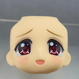 1346-4 -Ayu's Tearful Smile