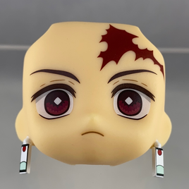 1193-1 -Tanjiro's Standard Face