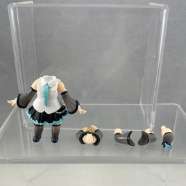 1701 -Hatsune Miku NT's Body